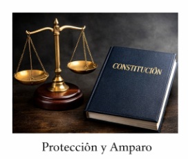 Protección y Amparo